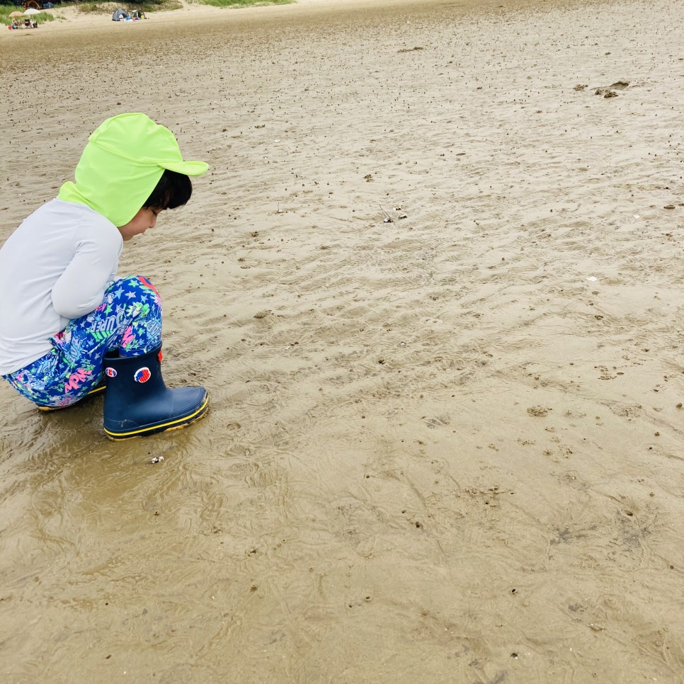 Clam Digging Experience at Mongsanpo and Dalsanpo Beaches: Family-friendly Clam Digging Points and Delicious Clams photo 17