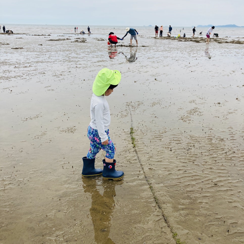 Clam Digging Experience at Mongsanpo and Dalsanpo Beaches: Family-friendly Clam Digging Points and Delicious Clams photo 20