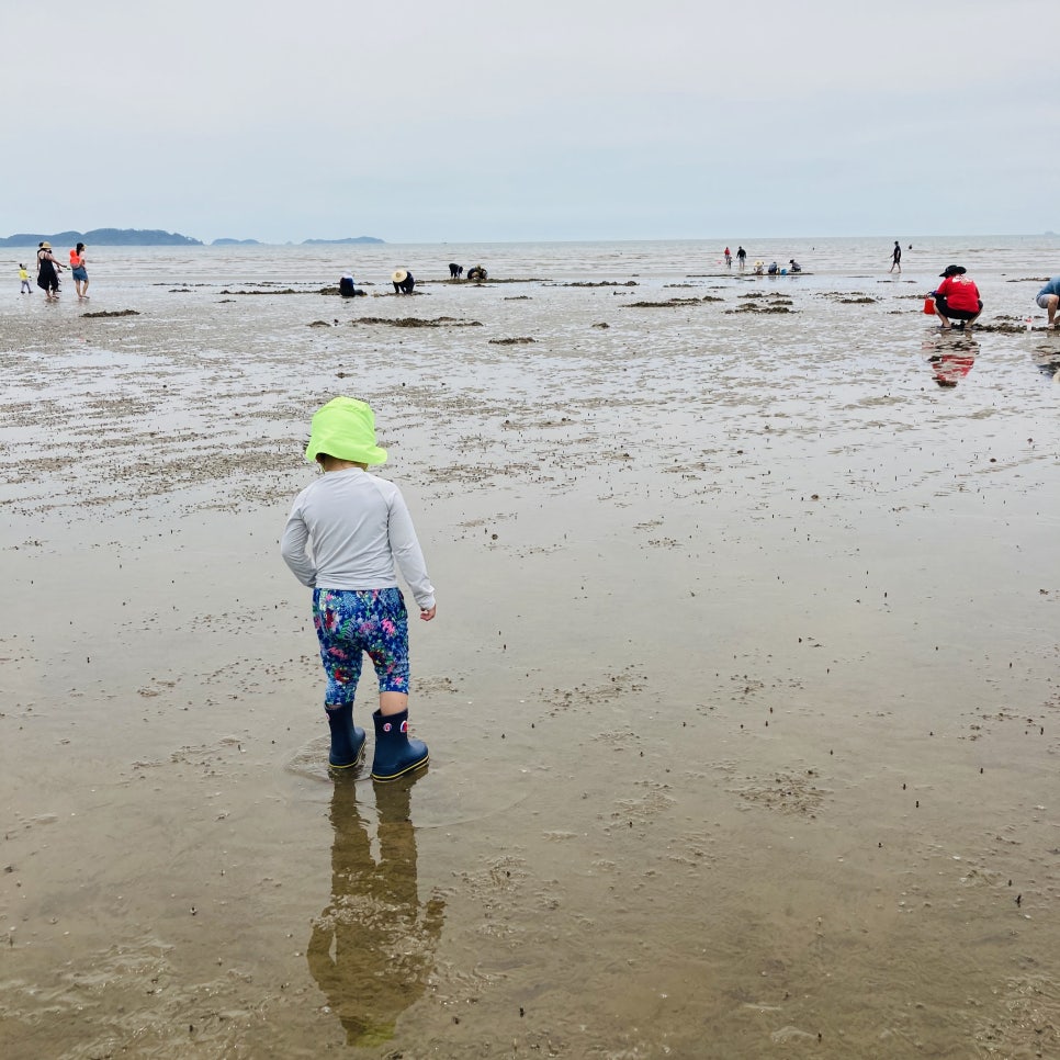 Clam Digging Experience at Mongsanpo and Dalsanpo Beaches: Family-friendly Clam Digging Points and Delicious Clams photo 21