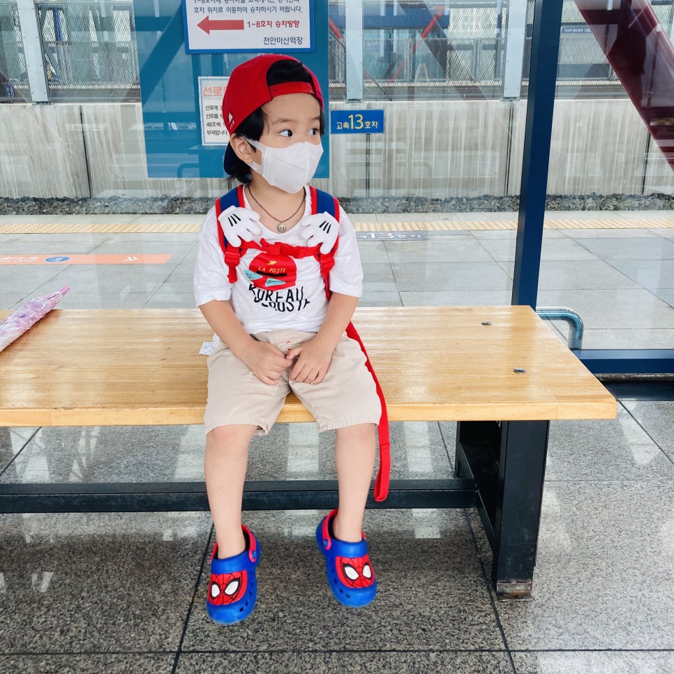 Places to Visit in Seoul with Kids: Hanwha 63 Aqua Planet Seoul Aquarium and Mermaid Show