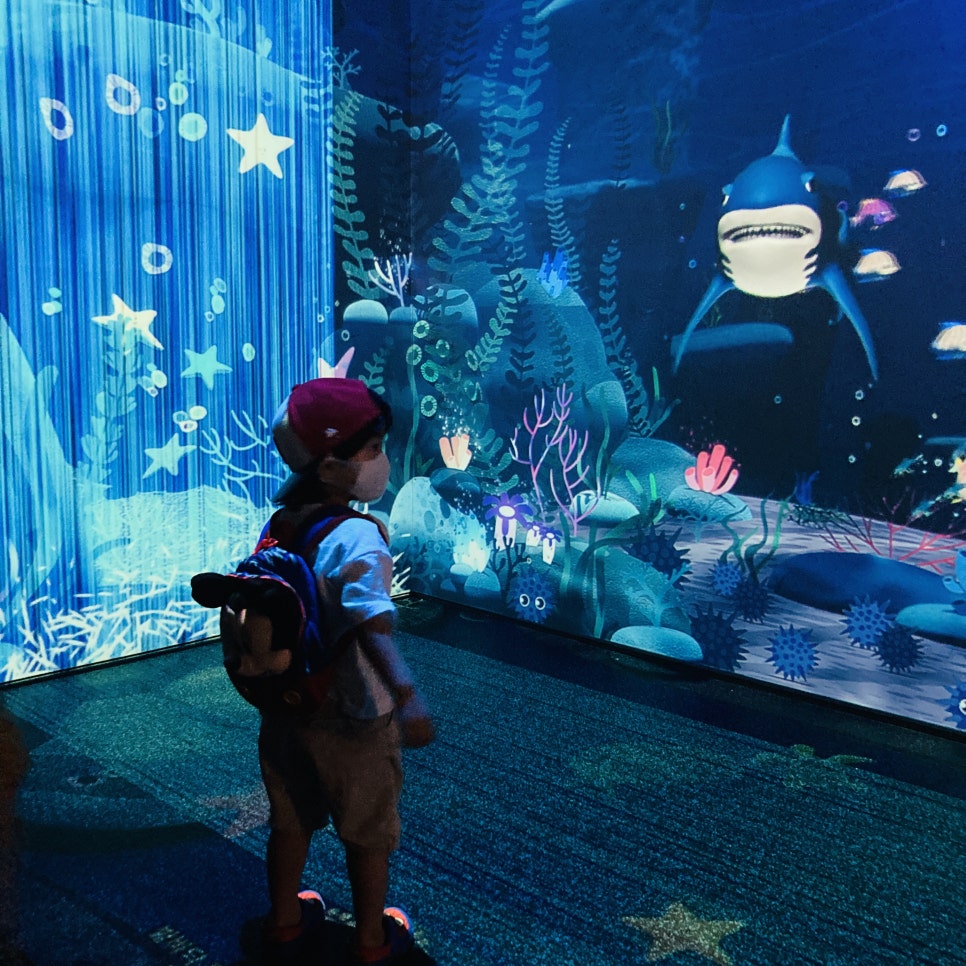 Places to Visit in Seoul with Kids: Hanwha 63 Aqua Planet Seoul Aquarium and Mermaid Show photo 6