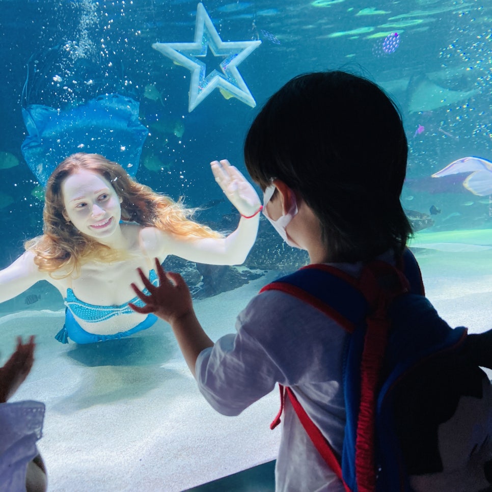 Places to Visit in Seoul with Kids: Hanwha 63 Aqua Planet Seoul Aquarium and Mermaid Show photo 13