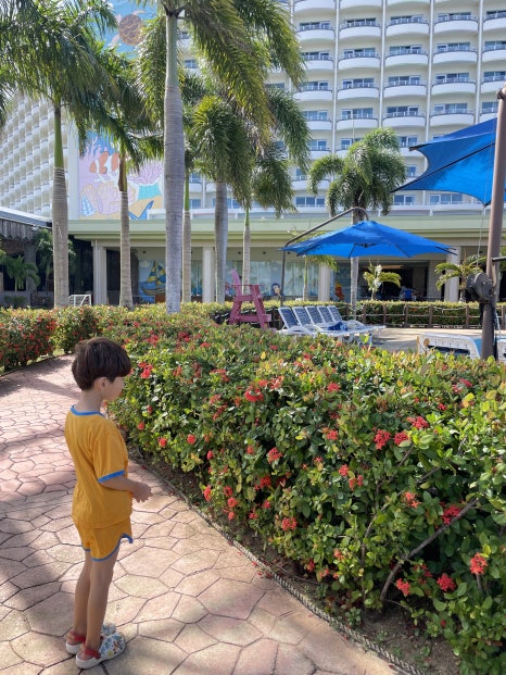 Saipan Family Travel Accommodation Recommendations: Saipan World Resort Weather in July to August 2023 photo 3