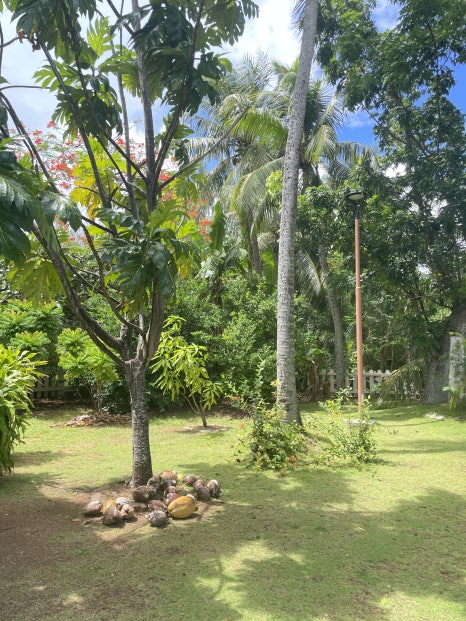 Traveling to Saipan with Kids: Coconut Candy Making Experience at Saipan World Resort photo 2