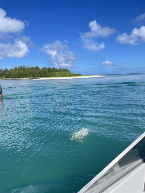 Saipan Managaha Island Tour Reservation Preparation Snorkeling Parasailing photo 5