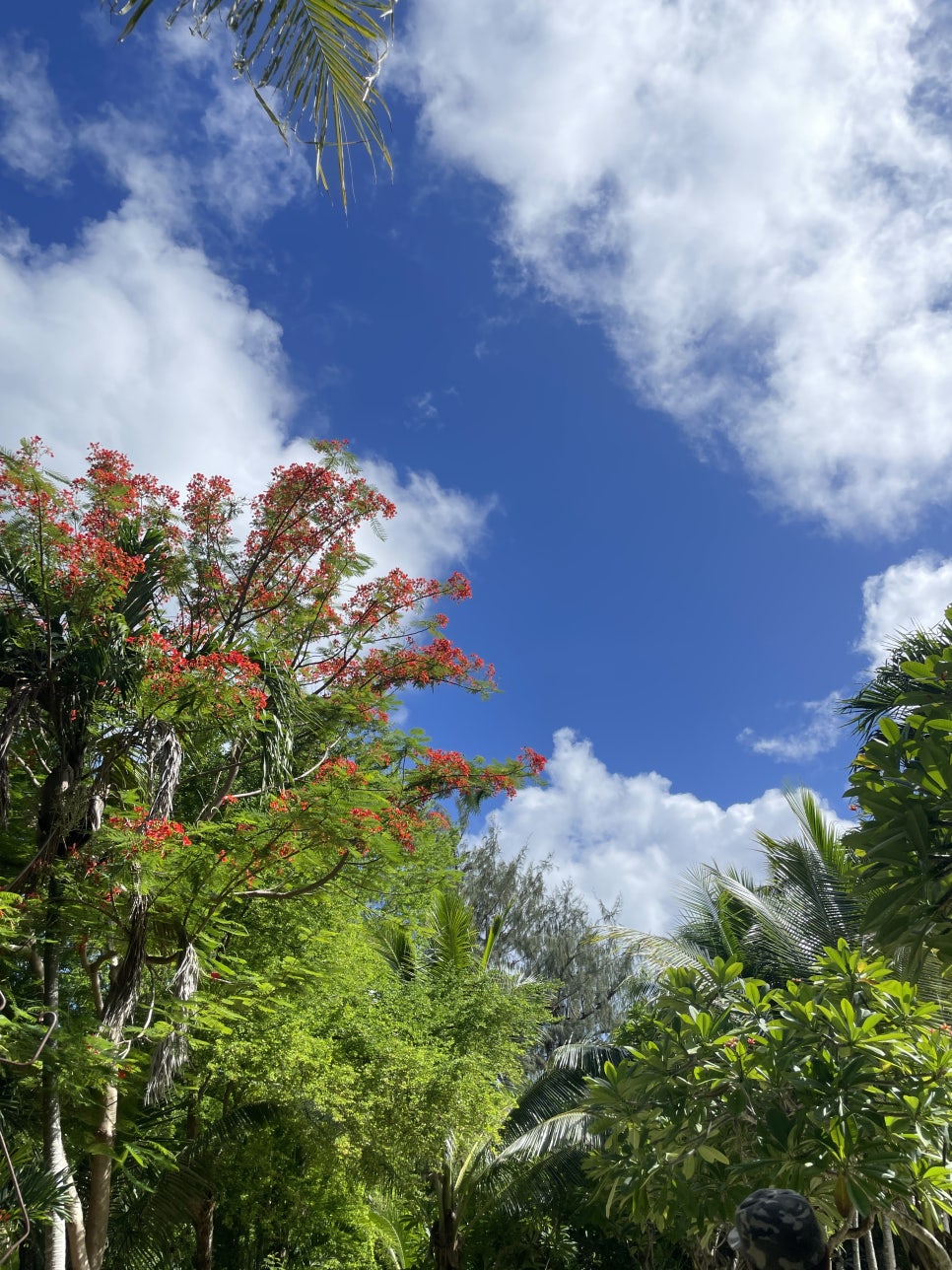 Saipan Managaha Island Tour Reservation Preparation Snorkeling Parasailing photo 10