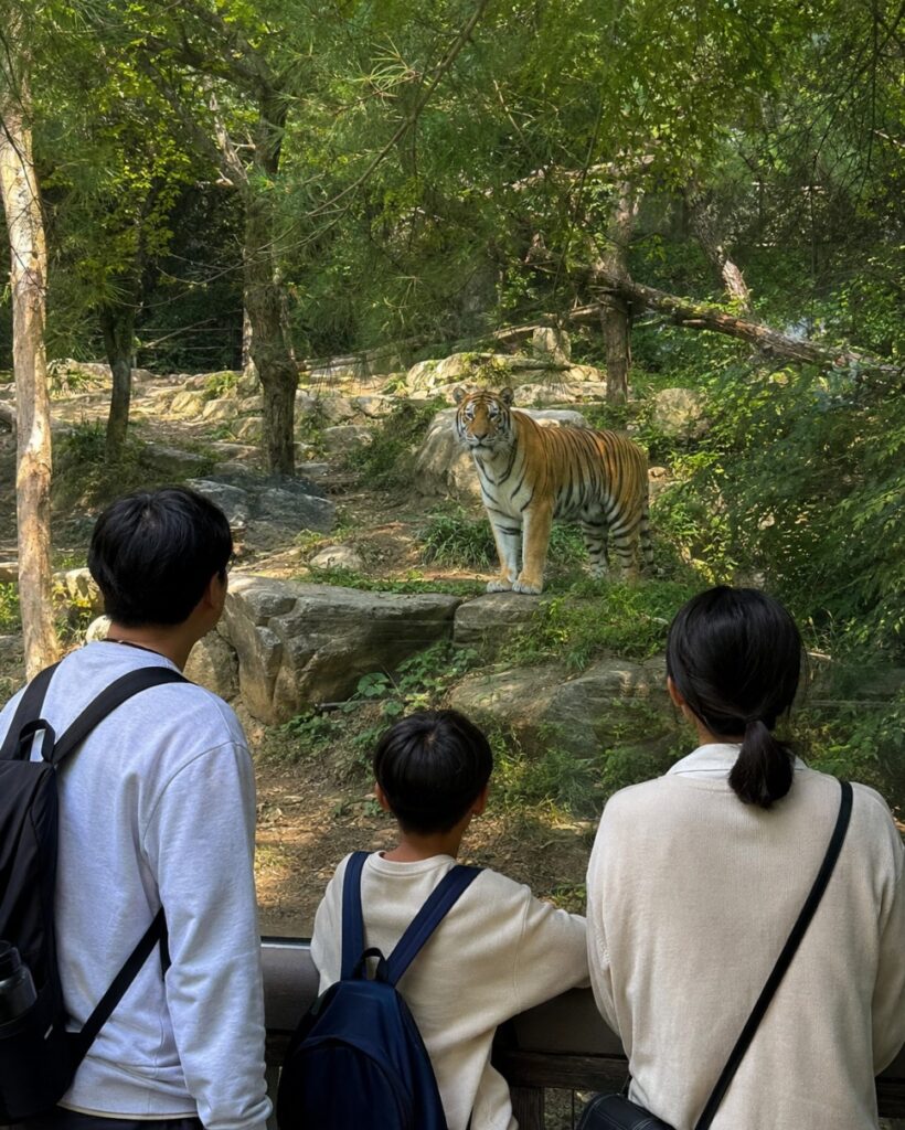 서울대공원 동물원 누구에게 추천할까