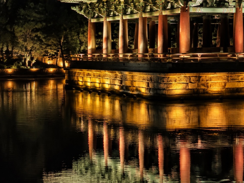 Night path along the pond