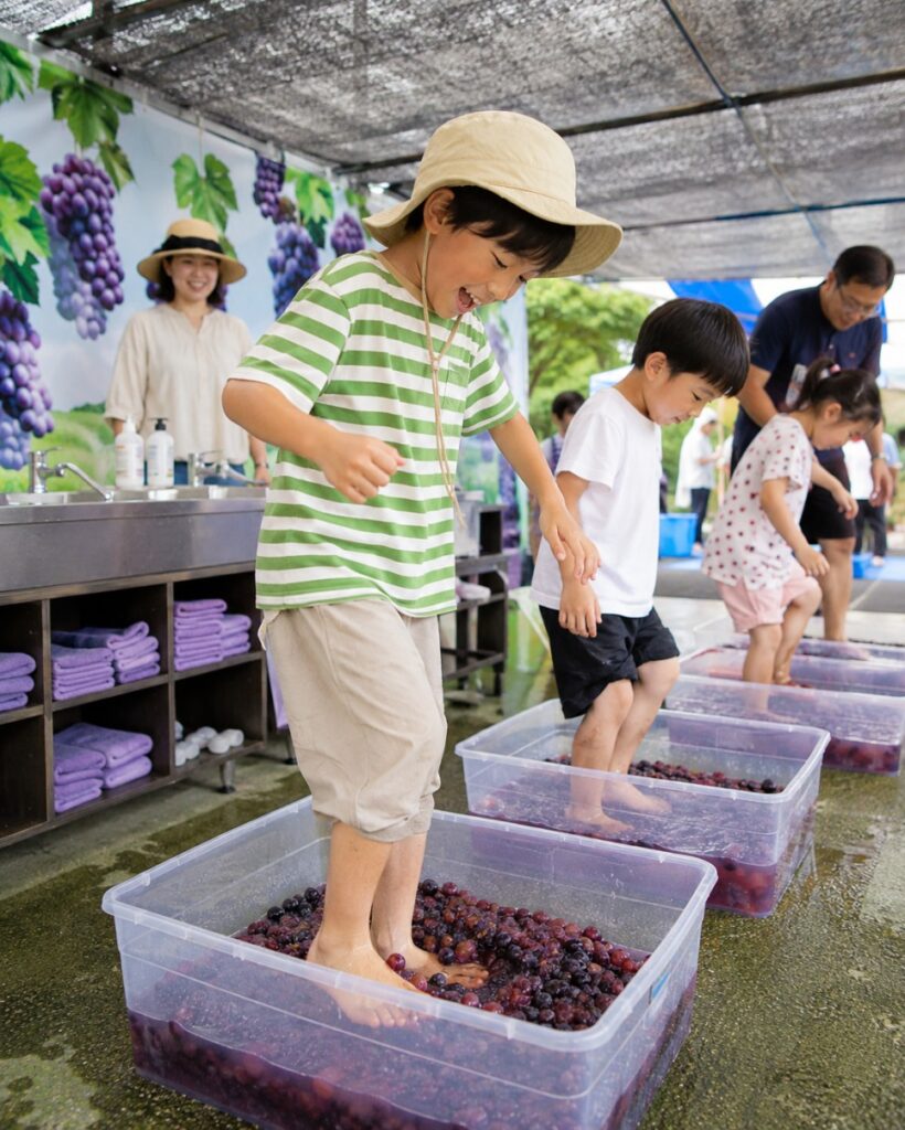 영동포도축제 아이와는 체험 두 개만 먼저 정하세요