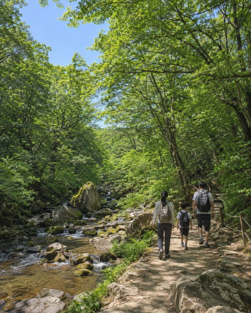 한라산 영실코스 예약과 입장료