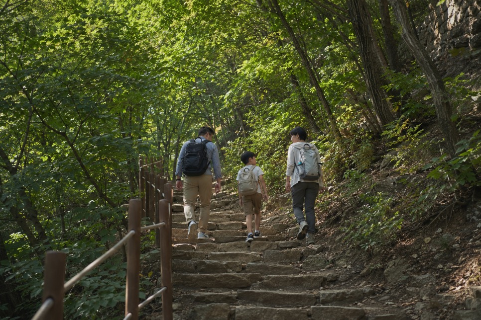 진안홍삼축제 1박 2일 추천 동선