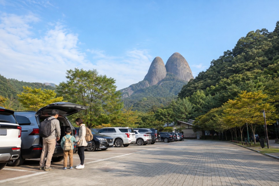 진안홍삼축제 주차와 이동