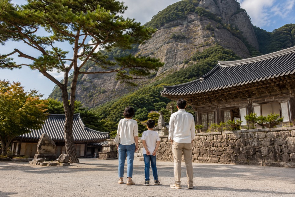 진안홍삼축제 장점과 단점