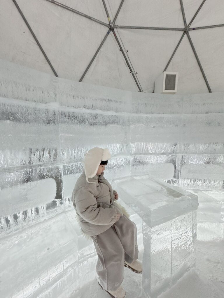 토마무 스키장 스키장 그 이상의 즐거움, 겨울 액티비티 총정리