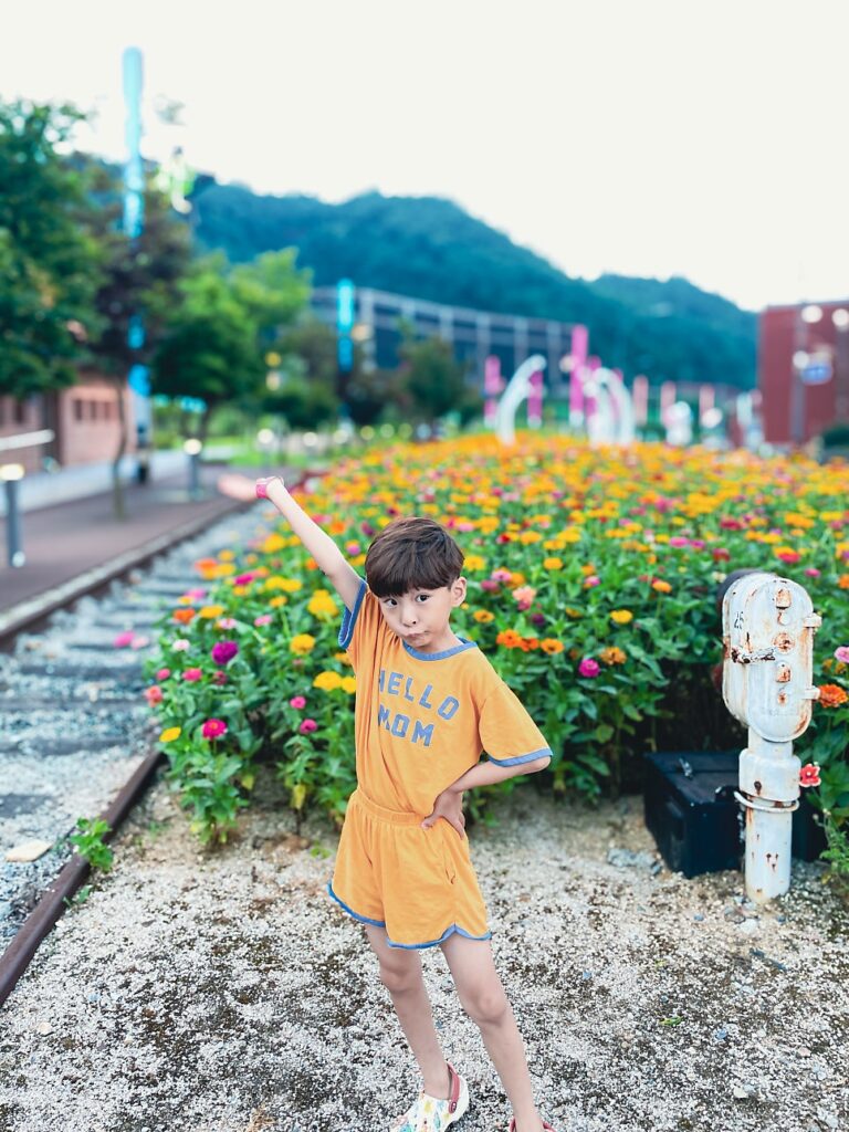 태백 오로라 파크 방문 전 꼭 확인하세요! (주차 및 이용 정보)