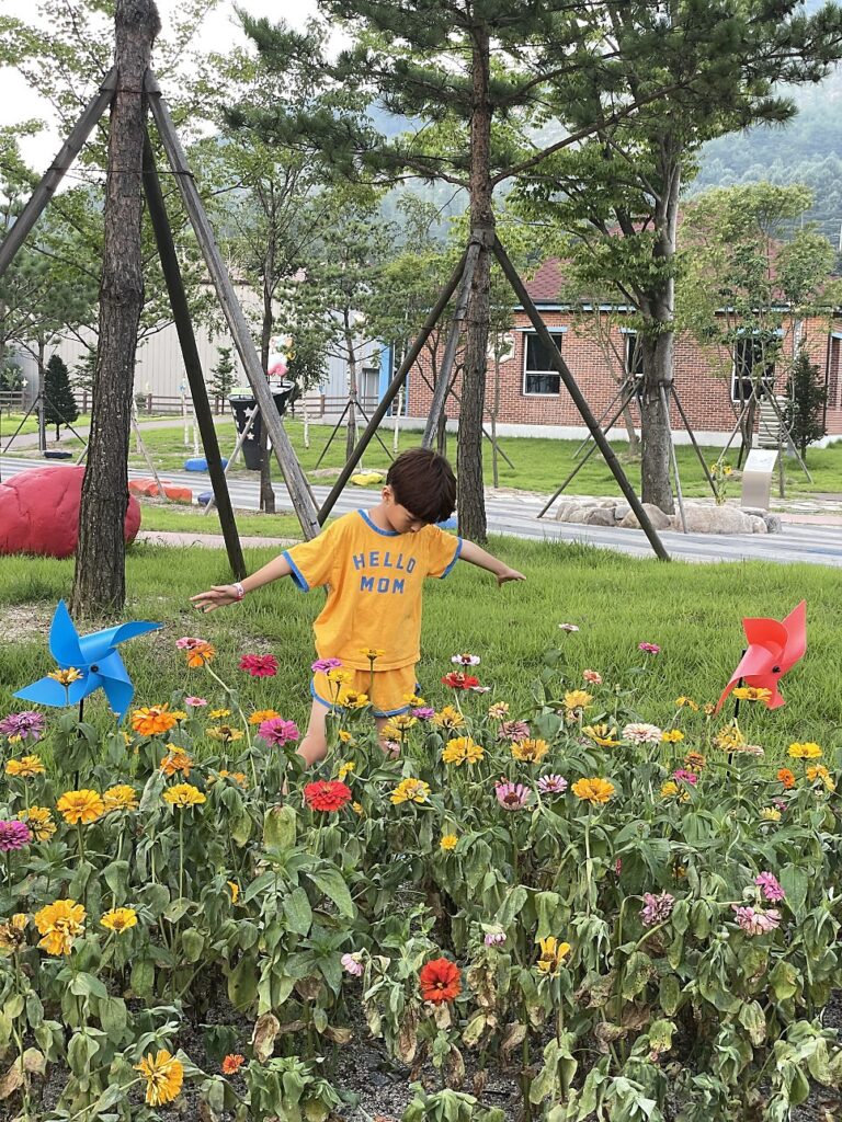 태백 오로라 파크 방문 전 꼭 확인하세요! (주차 및 이용 정보)