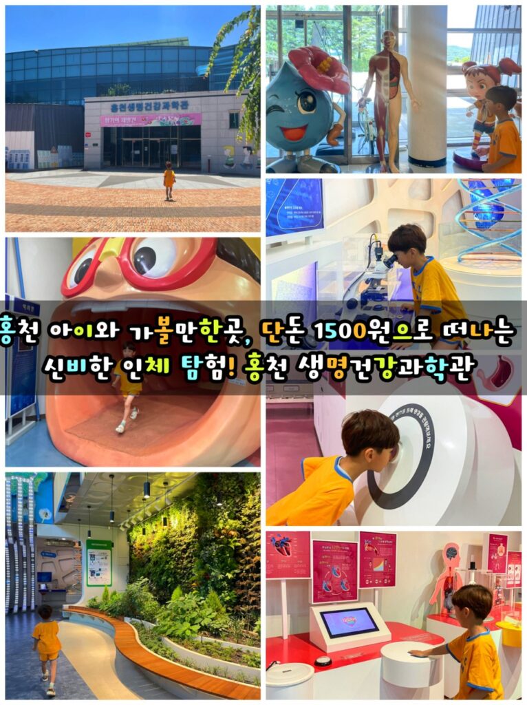 홍천 생명건강과학관 대표 이미지