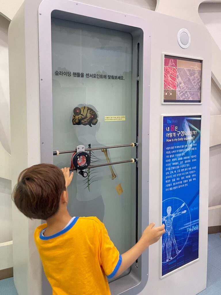 홍천 생명건강과학관 왜 하필 홍천 생명건강과학관일까?