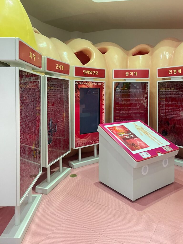 홍천 생명건강과학관 방문 전 꼭 체크! 이용 정보 및 주차 꿀팁