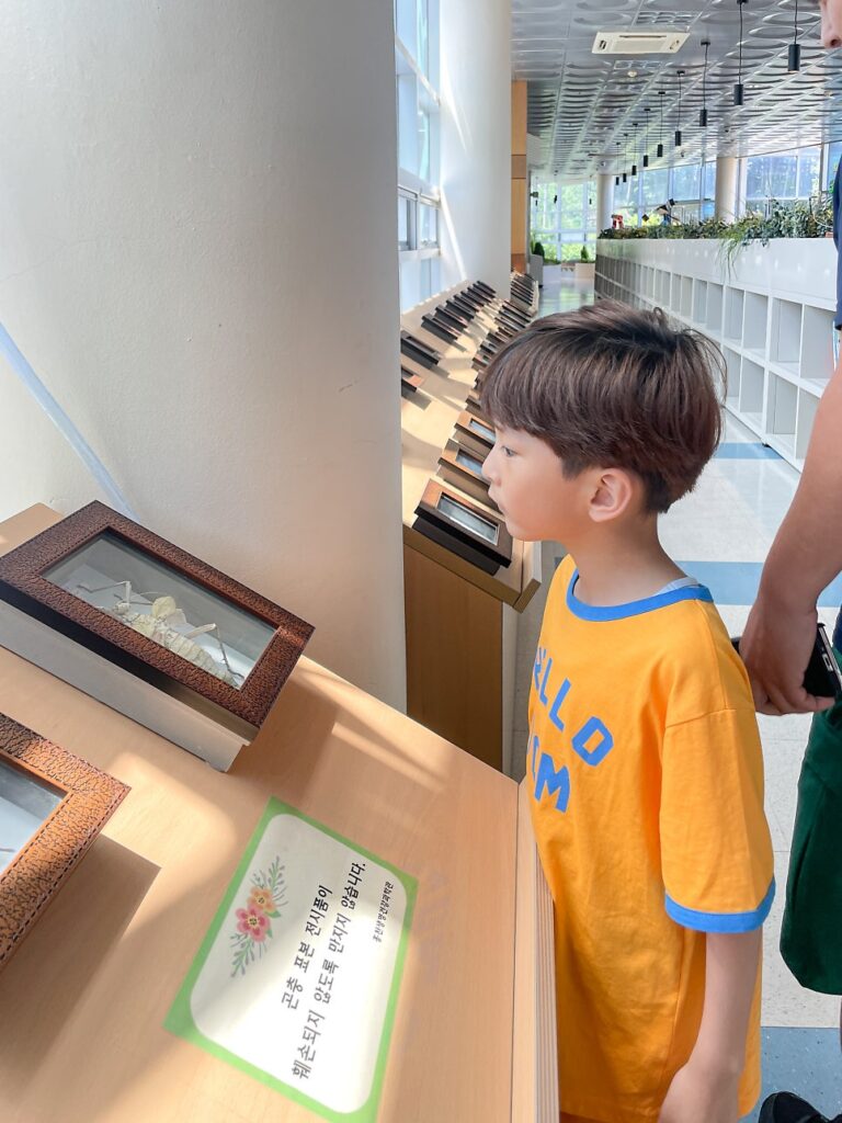 홍천 생명건강과학관 놓치면 후회할 4D 영상관과 기획 전시