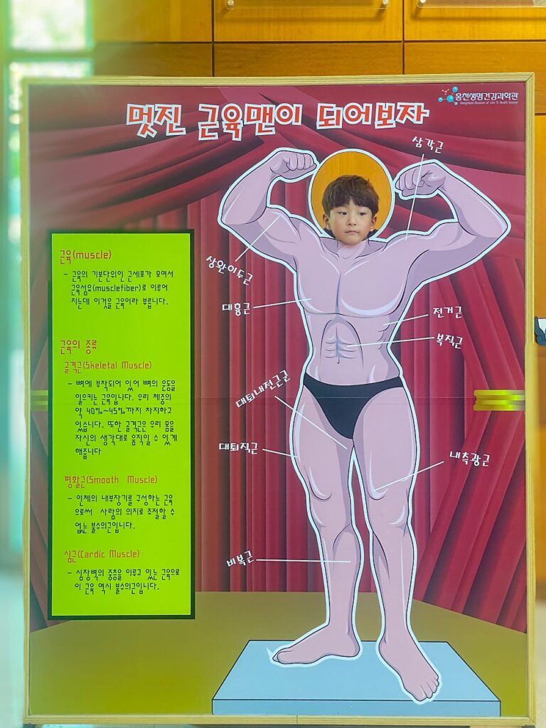 홍천 생명건강과학관 놓치면 후회할 4D 영상관과 기획 전시