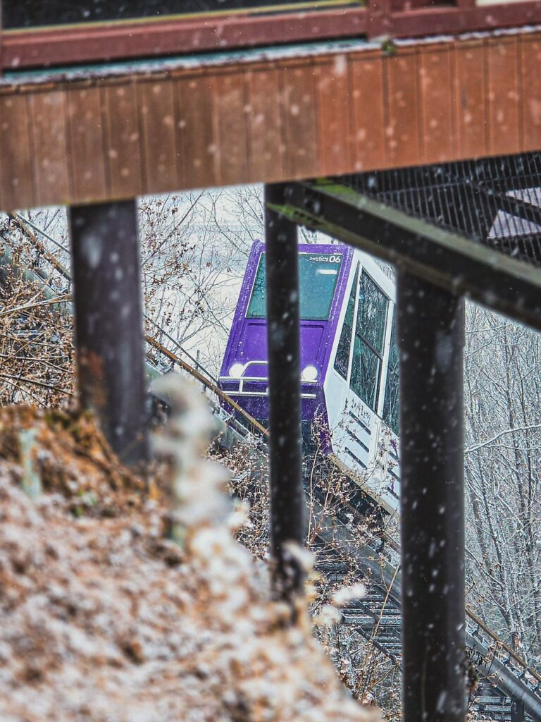 View from the monorail