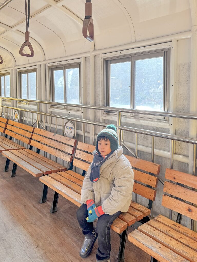 Inside the scenic train