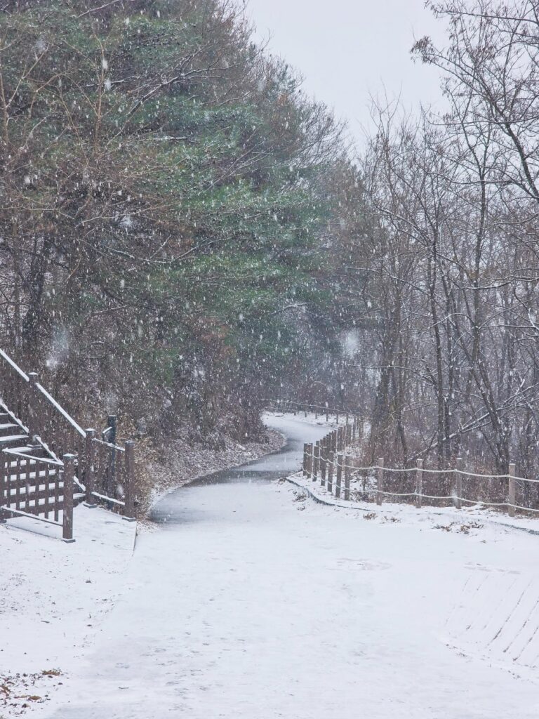 Snowy deck walk