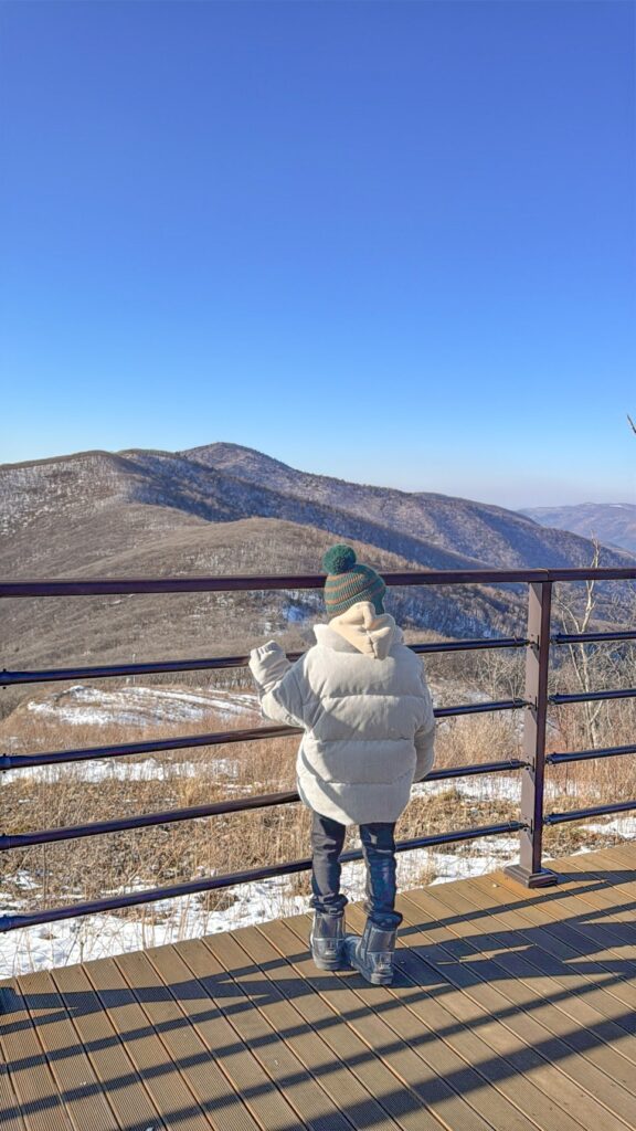 Mountain panorama