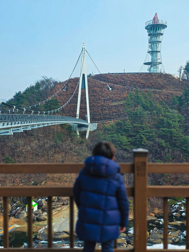 View from Eunhasu Bridge