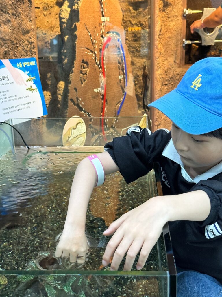 Child touching a beetle