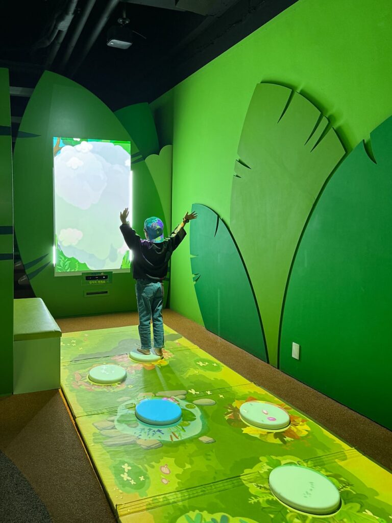Butterfly displays