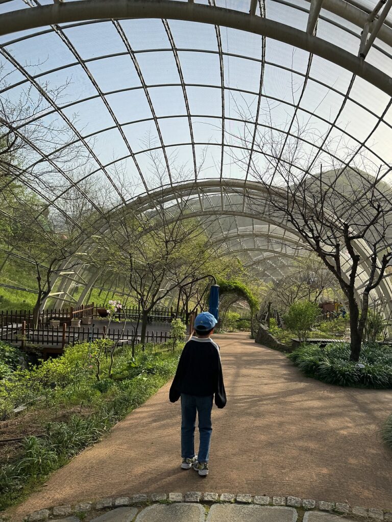 Forest deck