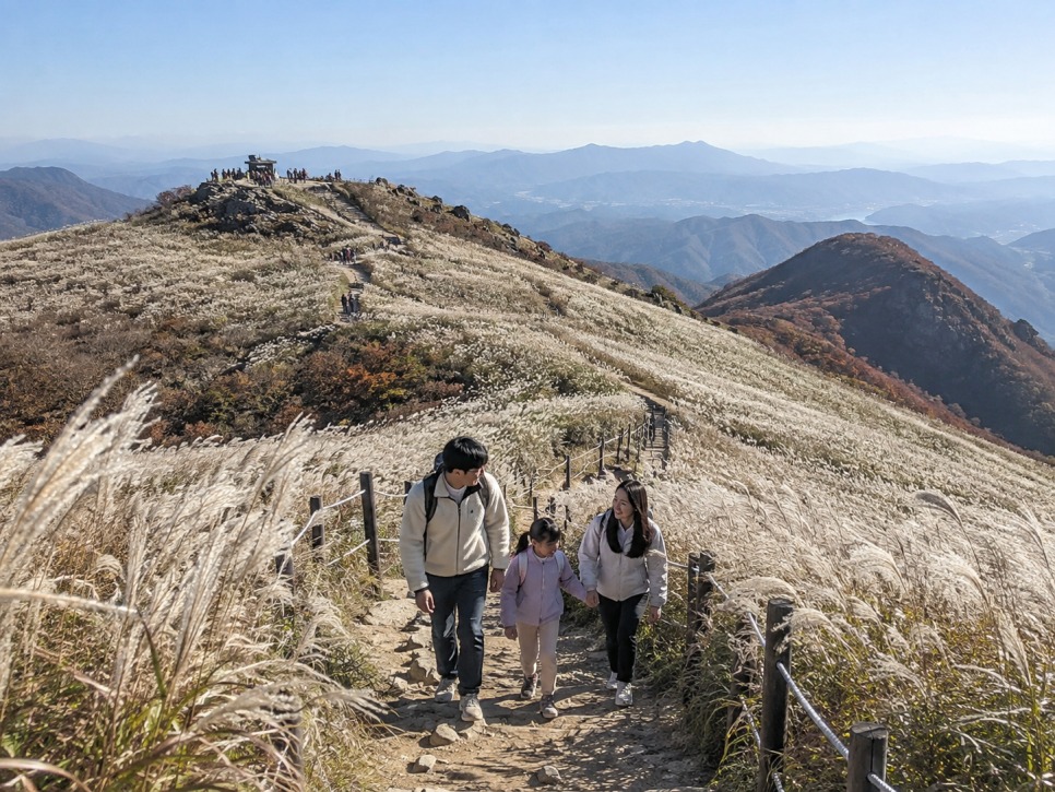 Silver grass on the summit of Minjungsan