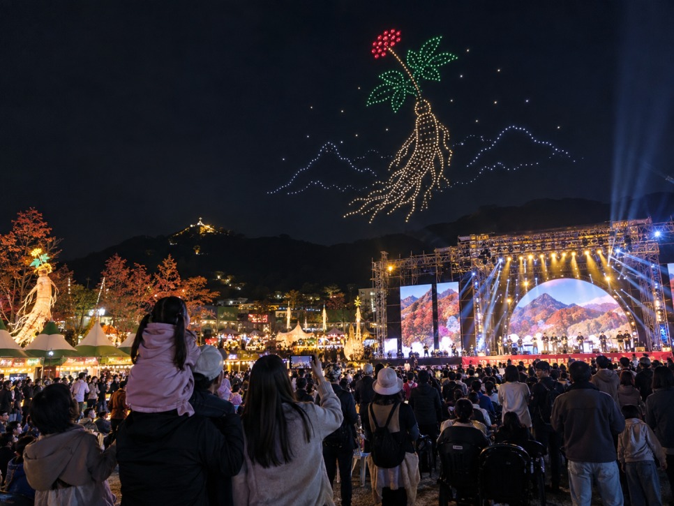 금산세계인삼축제 저녁까지 있다면 야간 프로그램