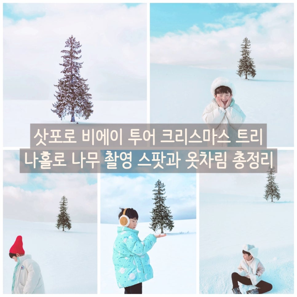 비에이 크리스마스 트리 대표 이미지