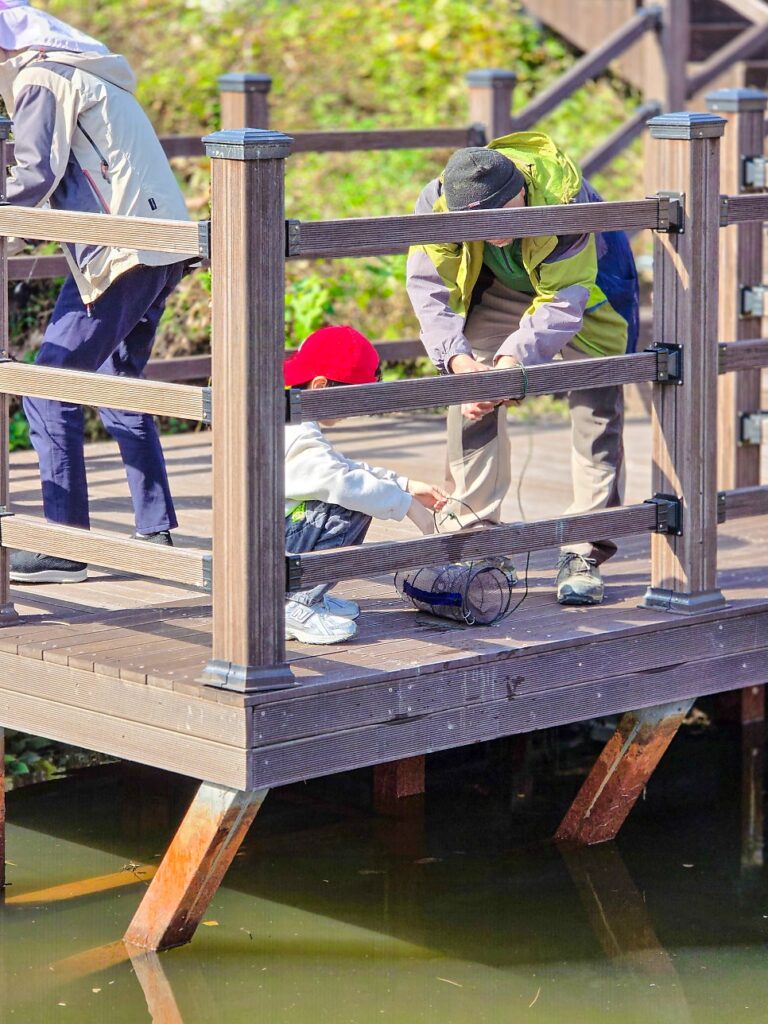 Traditional fish traps