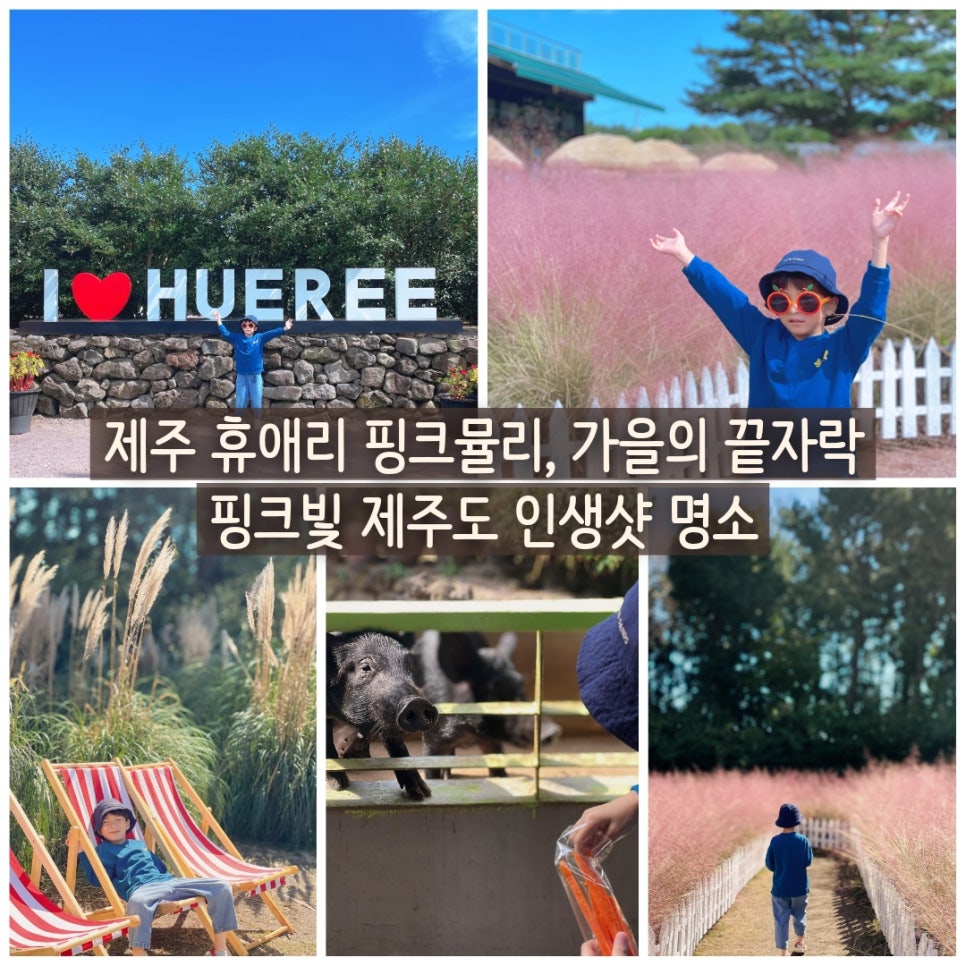 휴애리 핑크뮬리 대표 이미지