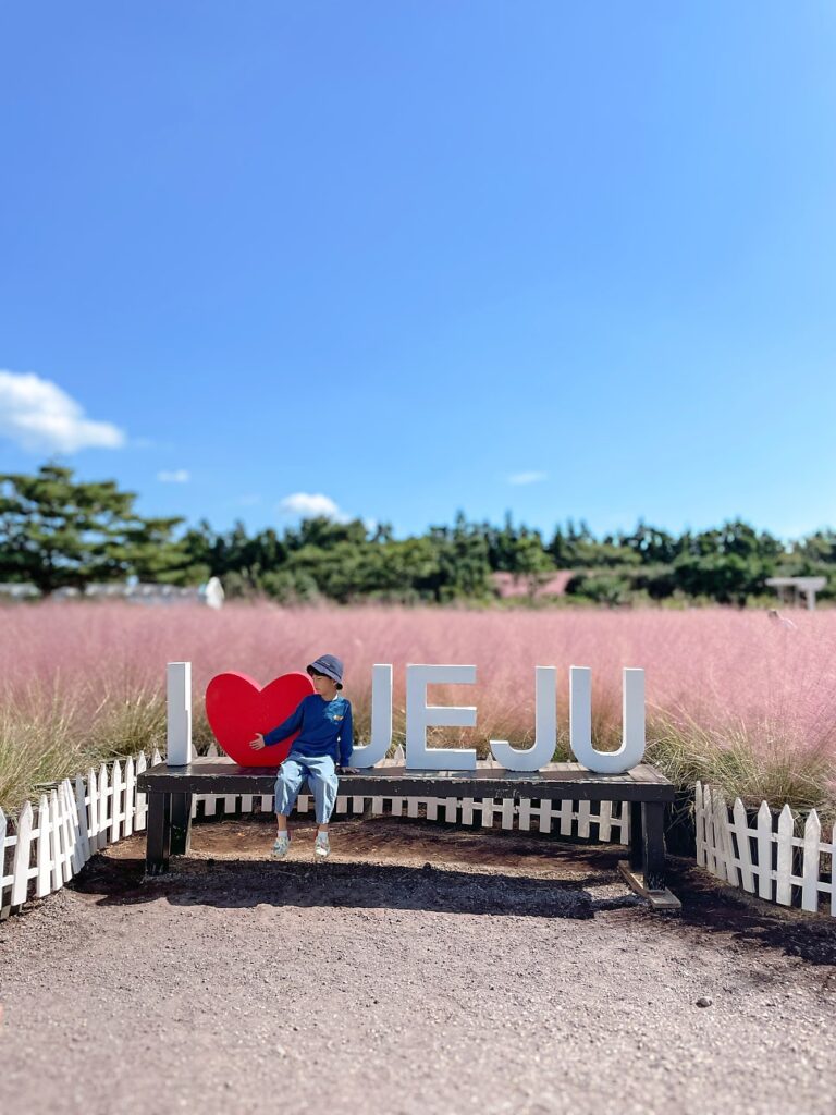 휴애리 핑크뮬리 놓치면 후회할 베스트 포토존과 즐길 거리