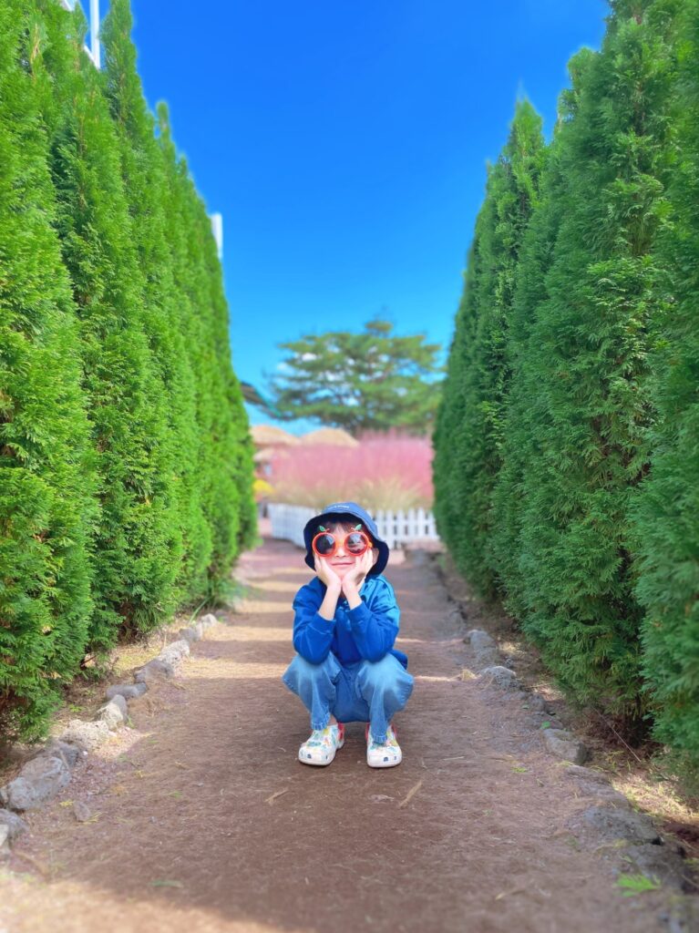 휴애리 핑크뮬리 놓치면 후회할 베스트 포토존과 즐길 거리