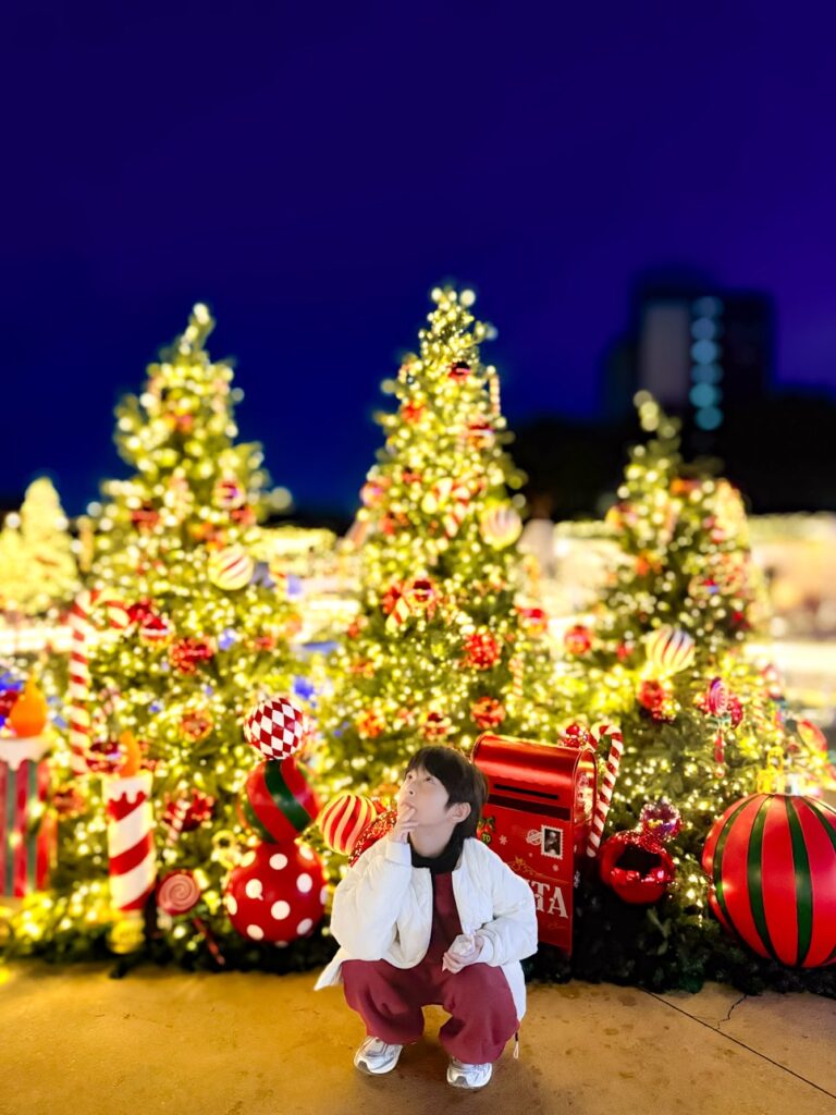Christmas tree at ParaFra