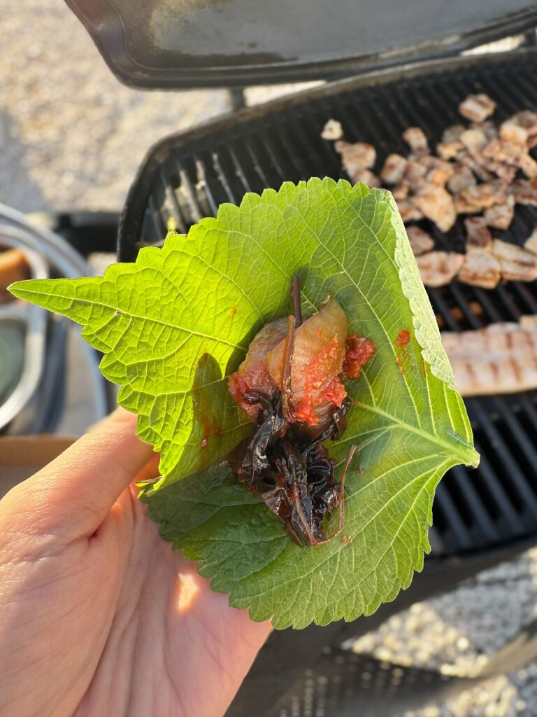 Hanwoo beef