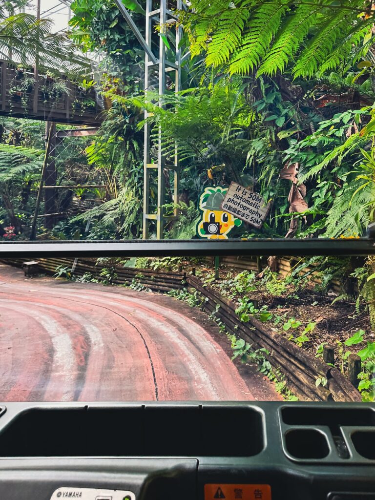 Pineapple farm from the cart