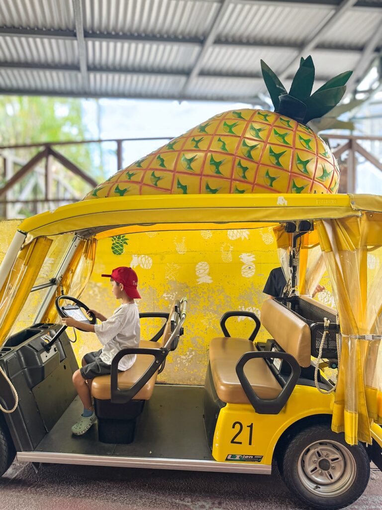 End of the cart route