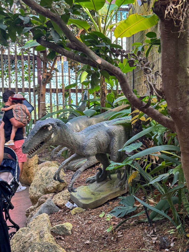 Dinosaur zone