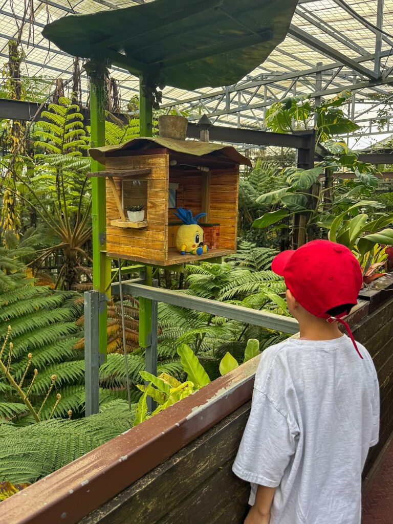 Jungle path