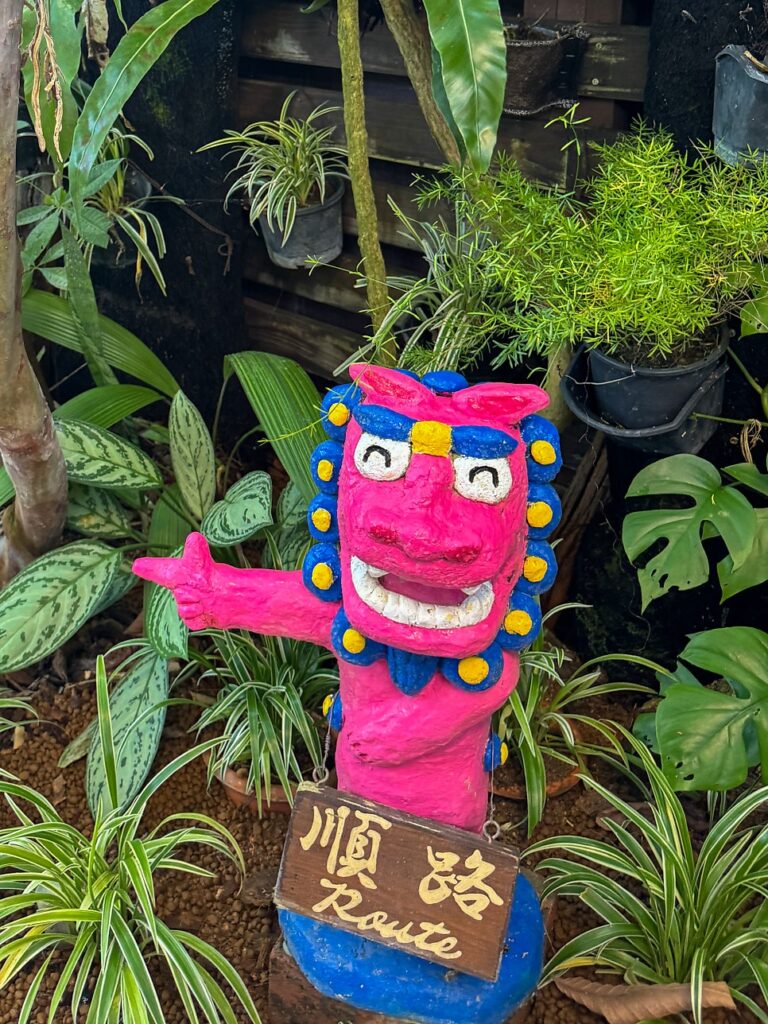 Subtropical garden