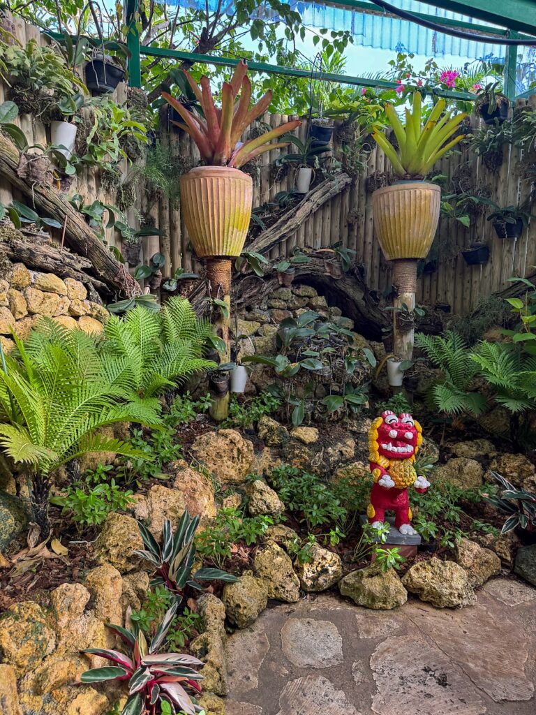 Giant ferns