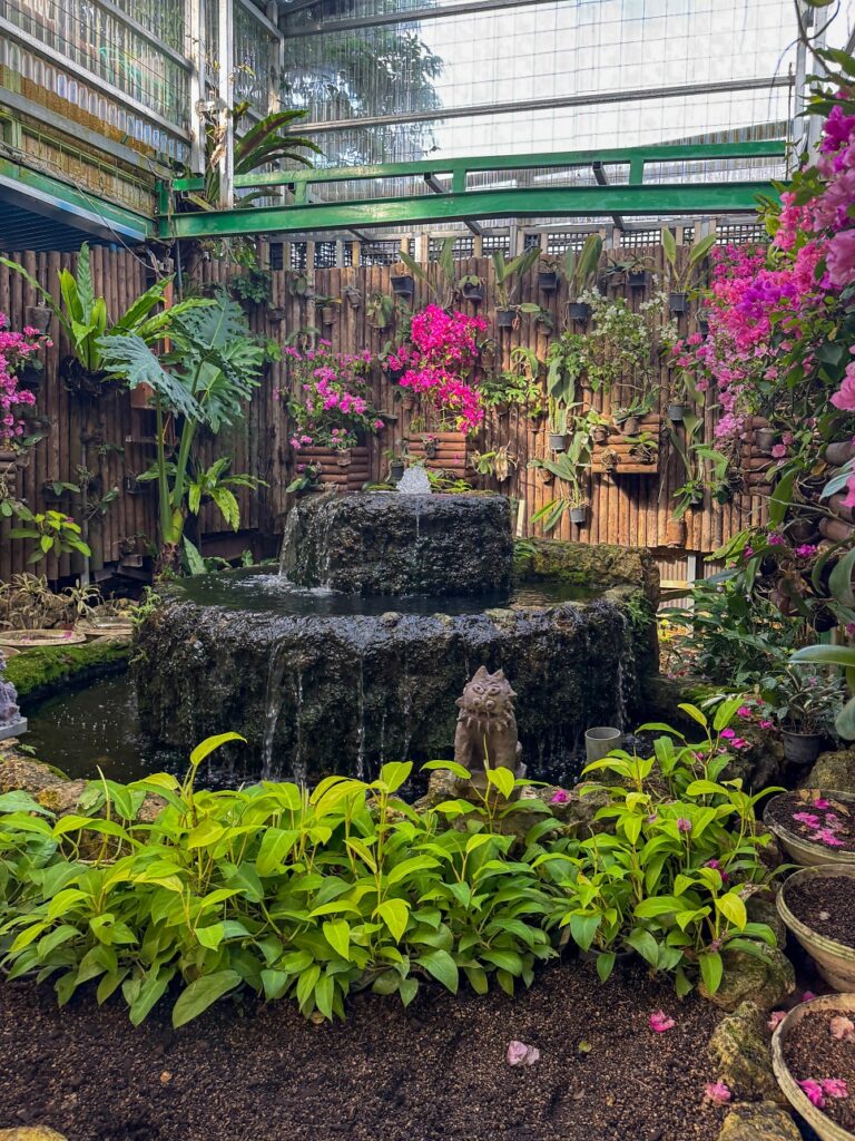 Tropical flowers