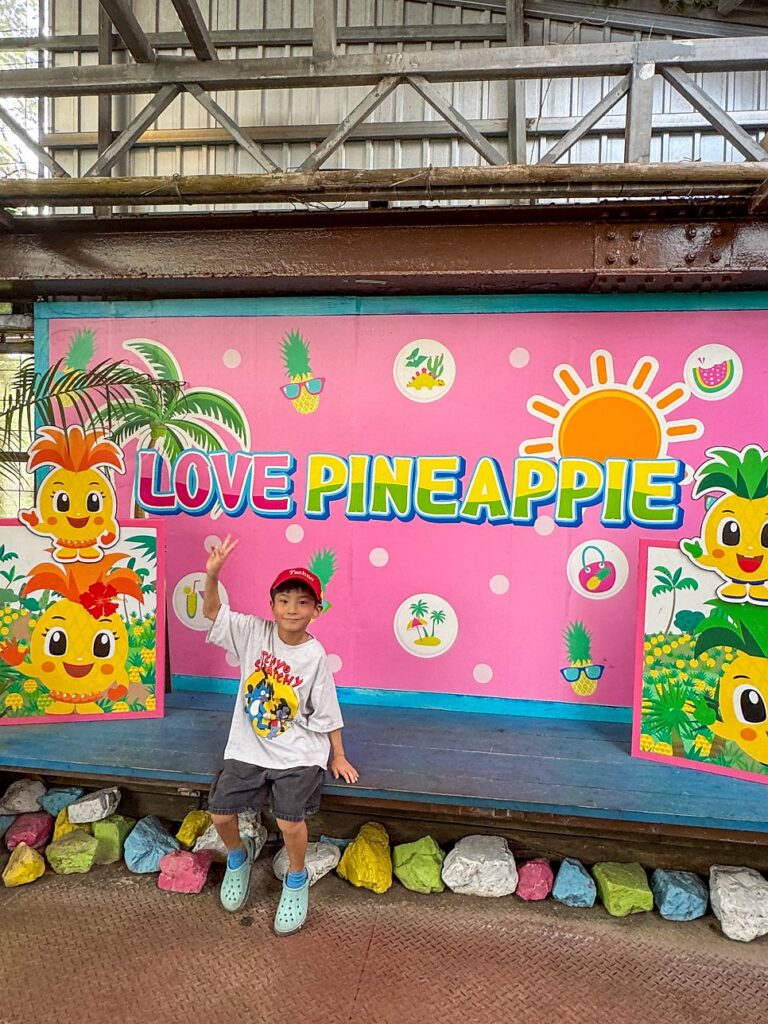 Nago Pineapple Park exit